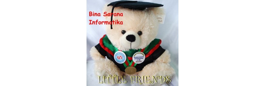 Boneka Wisuda Bina Sarana Informatika